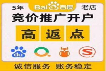 优化竞价SEM：成功案例分享